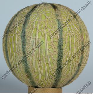 Melon Galia 0001